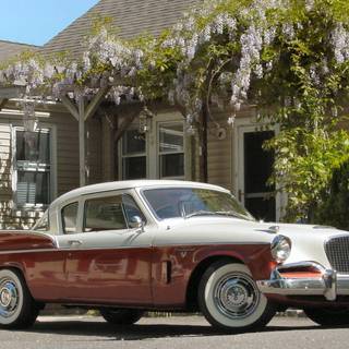 Wallpaper silverhawk