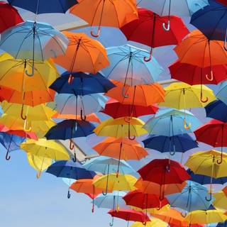 Background Umbrella HD