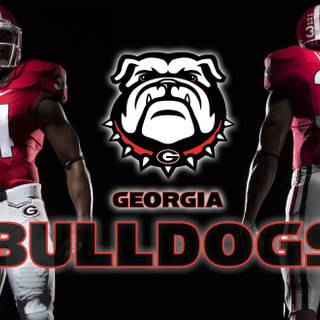 Uga football desktop wallpaper