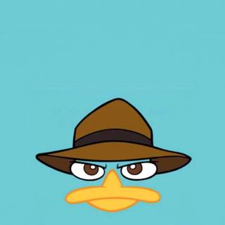 Platypus perry wallpaper