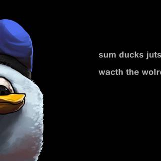 Wallpapers with funny pictures