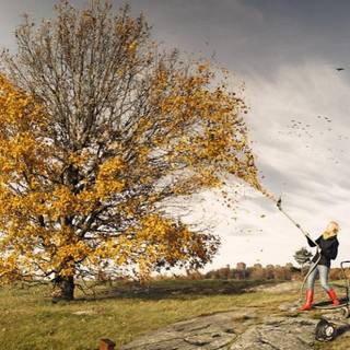 Surrealism wallpaper HD