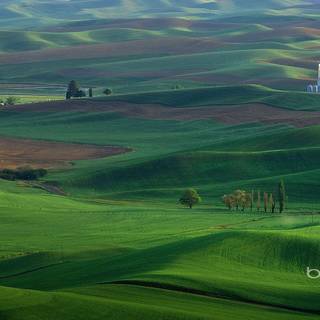 Bing images desktop background