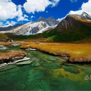 Bing images desktop background