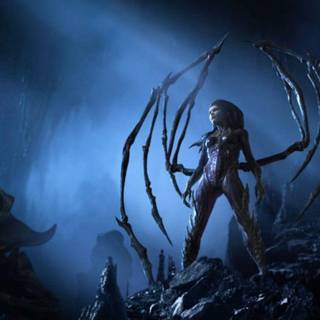 Wallpaper sara kerrigan