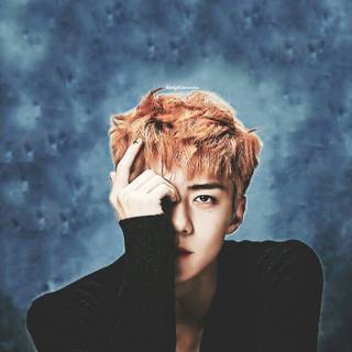 Sehun EXO wallpaper