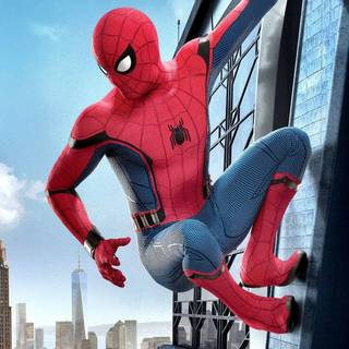 Assassin Spider-Man wallpaper