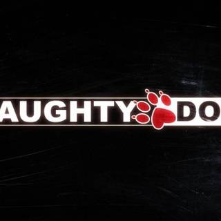 Naughty Dog wallpaper
