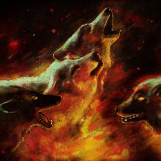 Fire wolf vs ice wolf wallpaper