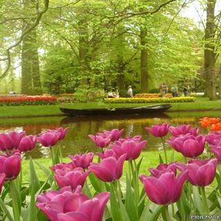 Natural garden wallpaper