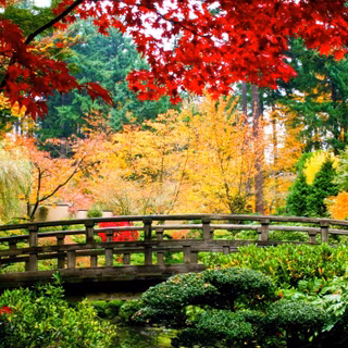 Natural garden wallpaper