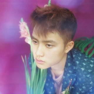 D.O EXO wallpaper