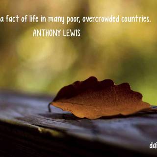 Humanitary wallpaper