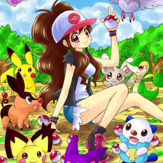 Minccino HD wallpaper