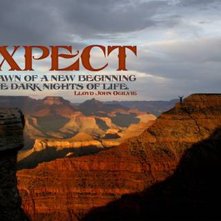 The Hills New Beginnings wallpaper