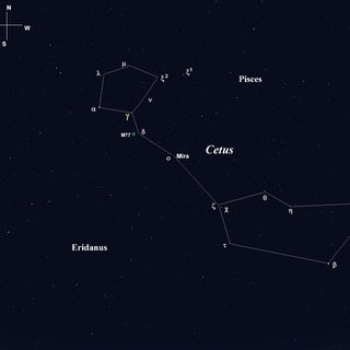 Equuleus constellation wallpaper