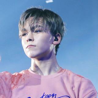 Vernon Seventeen wallpaper