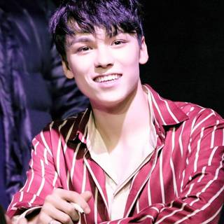 Vernon Seventeen wallpaper