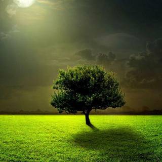 Samsung Galaxy Note 8 HD wallpaper