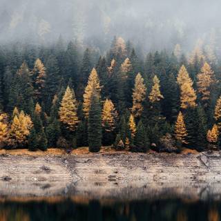 Samsung Galaxy S9 Plus wallpaper