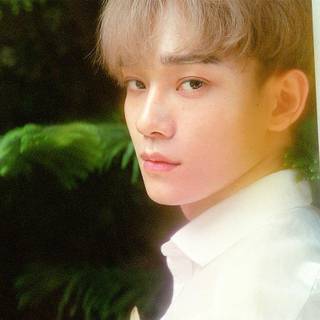 EXO Chen wallpaper