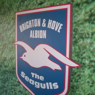 Brighton and Hove Albion wallpaper