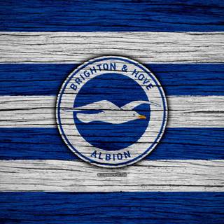 Brighton & Hove Albion F.C. wallpaper