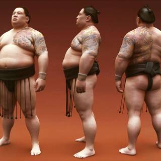 Sumo wallpaper