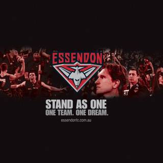 Essendon Football Club wallpaper