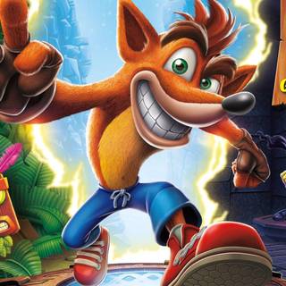 Bandicoot wallpaper