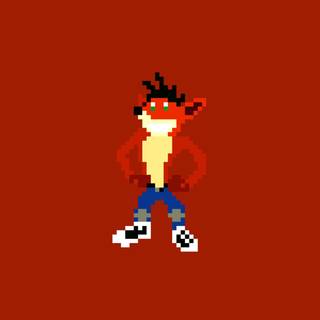 Bandicoot wallpaper