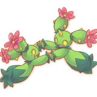Maractus HD wallpaper