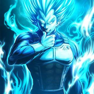 Vegeta SSJ Blue wallpaper