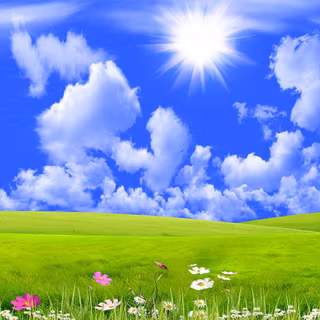 Grasslands wallpaper