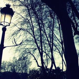 Street light wallpaper