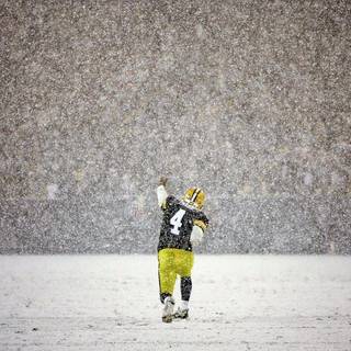 Brett Favre wallpaper