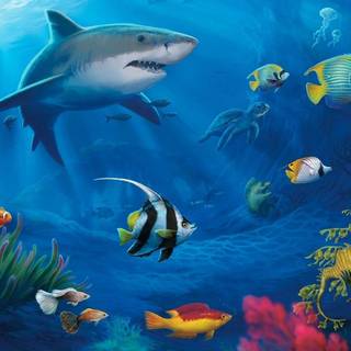 Aquatic animals wallpaper
