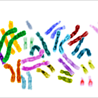 Chromosome wallpaper