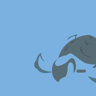 Tirtouga HD wallpaper