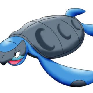 Tirtouga HD wallpaper