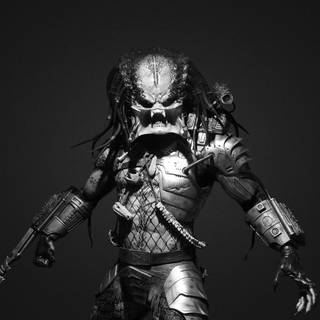 Depredator wallpaper