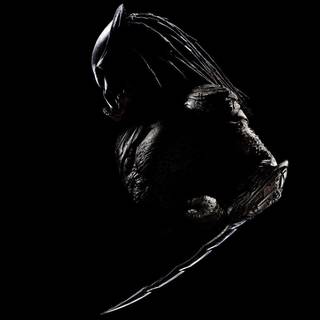 Depredator wallpaper