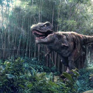 Tyrannosaurus wallpaper