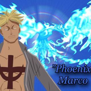Marco The Phoenix wallpaper
