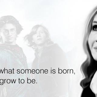 J. K. Rowling wallpaper