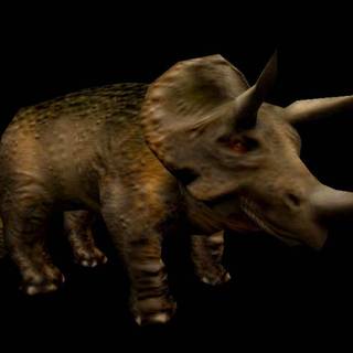 Triceratops wallpaper