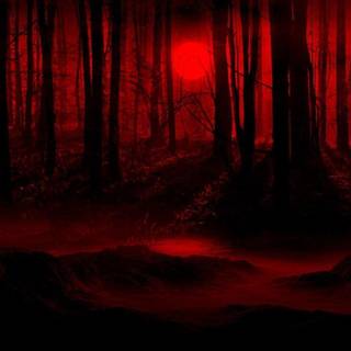 Dark forest with moon wallpaper