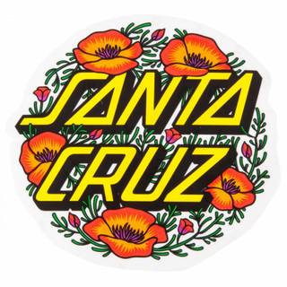 Santa Cruz wallpaper