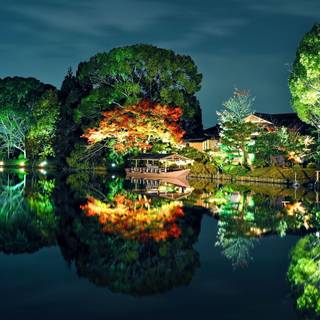 Wonderfull wallpaper