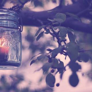 Wonderfull wallpaper